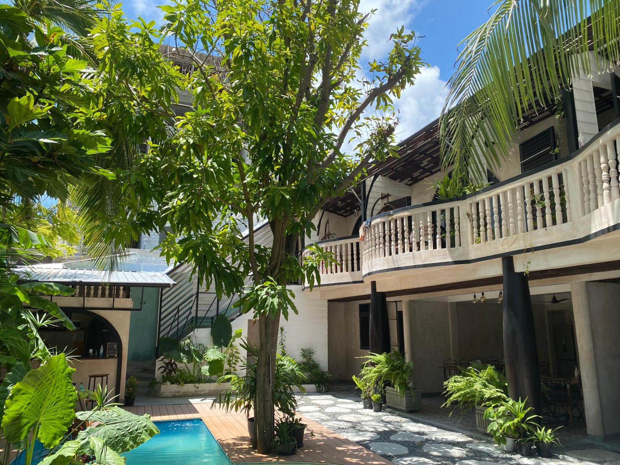 Zinnia Maafushi - Inclusive Airport Roundtrip - Snorkeling - Picnic - Sandbank For 2 Adults With Min 4-Nights Stay - Applicable For Bookings Made From 1St June 2025 Stay Period Till 31St Oct 2025 Exteriér fotografie